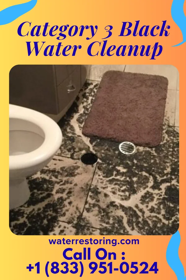 Category 3 Black Water Cleanup in El Valle de Arroyo Seco, NM