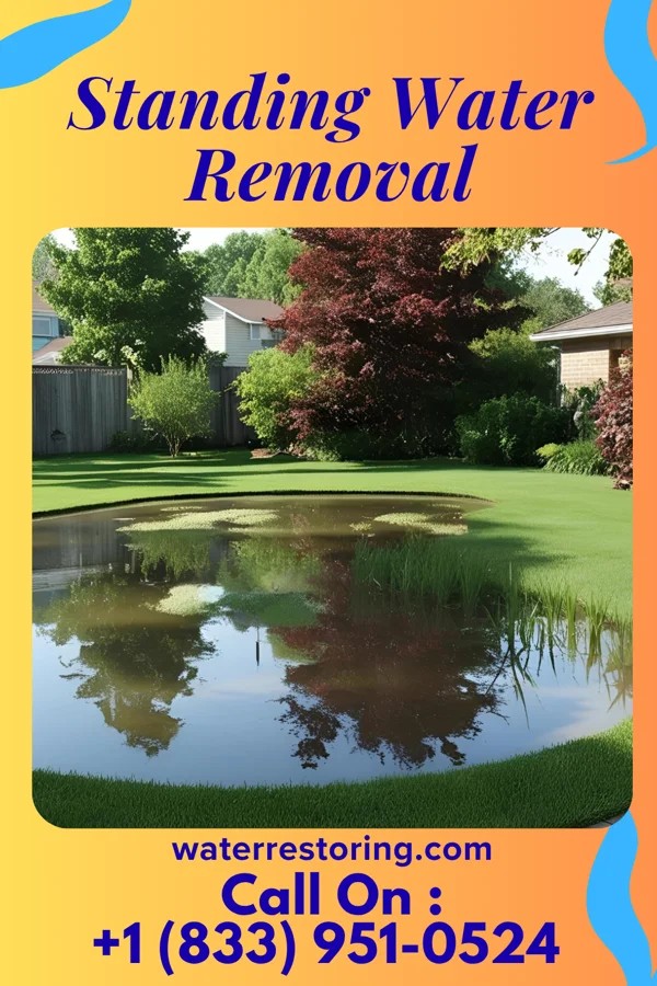 Standing Water Removal in El Valle de Arroyo Seco, NM